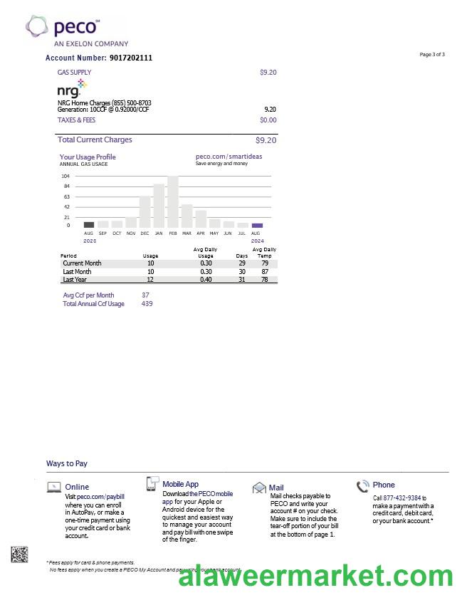 USA Pennsylvania PECO electric and gas utility bill, 3 pages 2